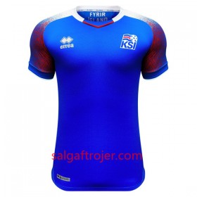 Island Fodboldtrøjer Dame Hjemmebanesæt VM 2018